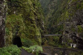 Randonner le long des levadas de Madère, sentier par sentier
