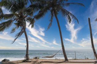 Sri Lanka : quelle saison choisir selon la côte visitée ?